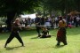 Thumbs/tn_Zaterdag Castlefest 2015 014.jpg
